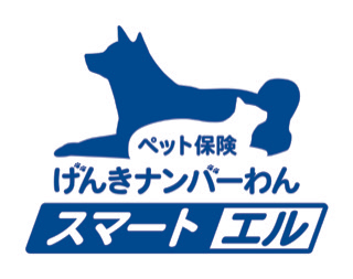 insurance_ph02