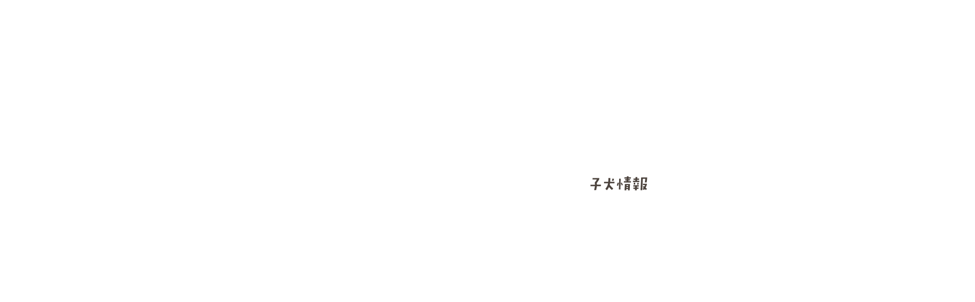 子犬情報
