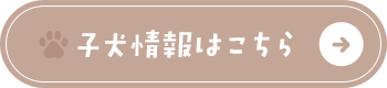 secondmain_btn_off